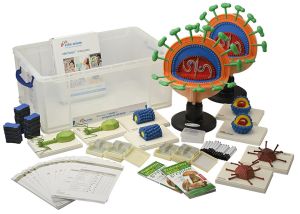eduStacje - Biologia klasa 5 | 3. Nowa Era: Wirusy, bakterie, protisty i grzyby