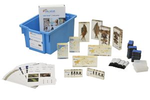 eduStacje - Biologia klasa 6 | 4. Nowe Era: Kręgowce zmiennocieplne 3. WSiP: Ryby, płazy, gady