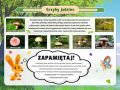 Tablica - Grzyby jadalne.jpg
