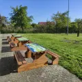 awostol-asymetryczny-6.webp