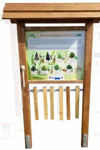 Gra edukacyjna dendrofon