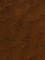 9.gif